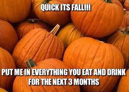pumpkin meme.jpg