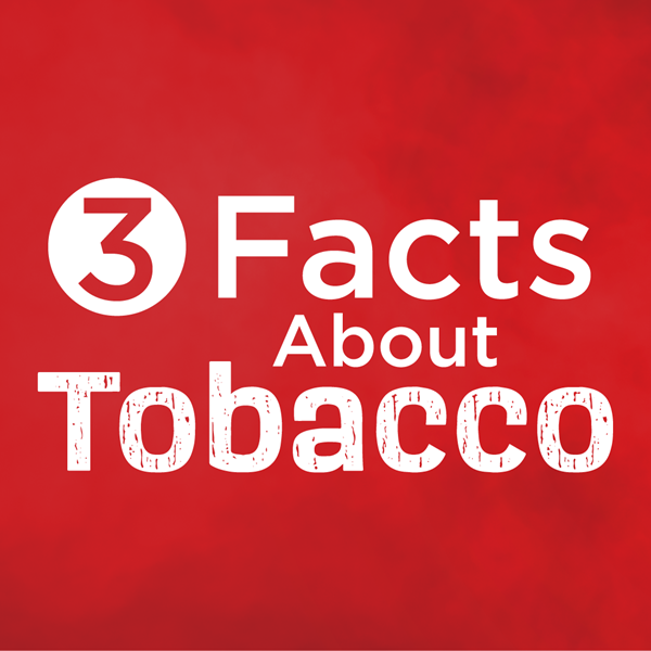 3 facts about Tobacco